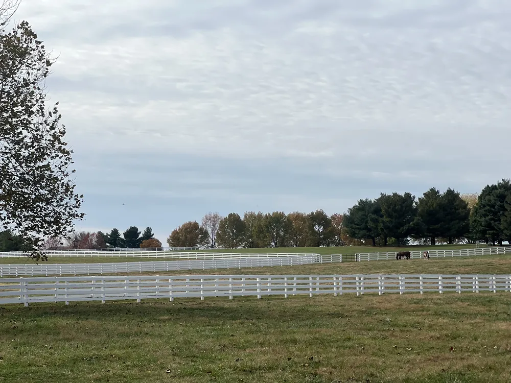Enamel Pro White Fence & Barn