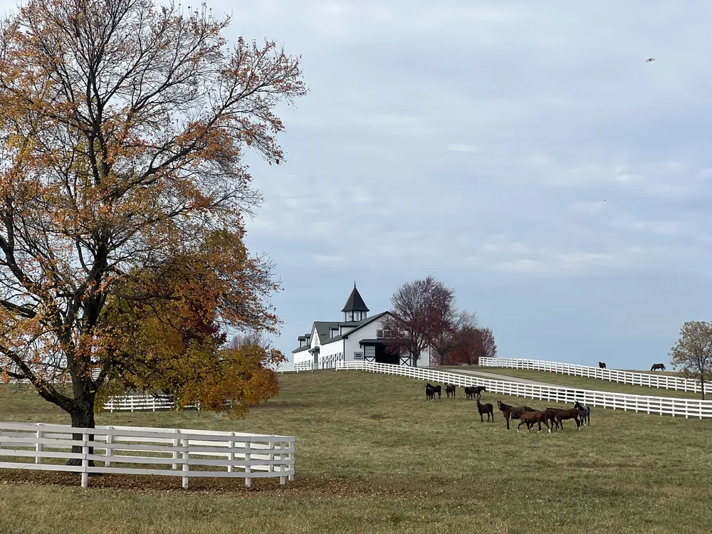 Enamel Pro White Fence & Barn
